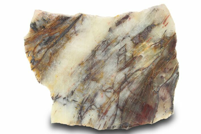 Lustrous Binghamite Agate Slab - Minnesota #299297